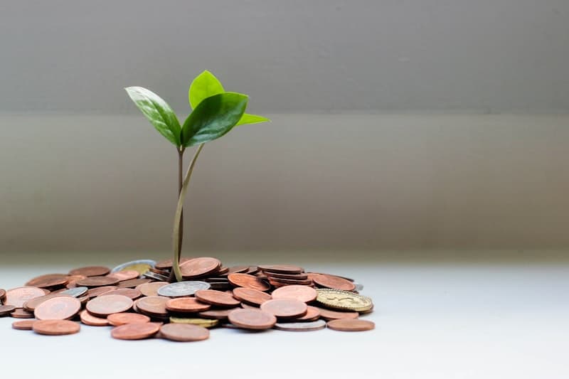 A small plant growing out of a pile of coins, symbolising savings growth