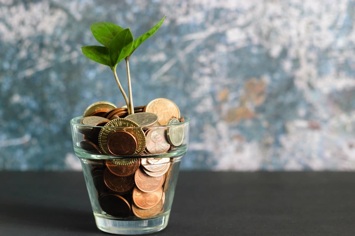 Coins and banknotes arranged on a surface